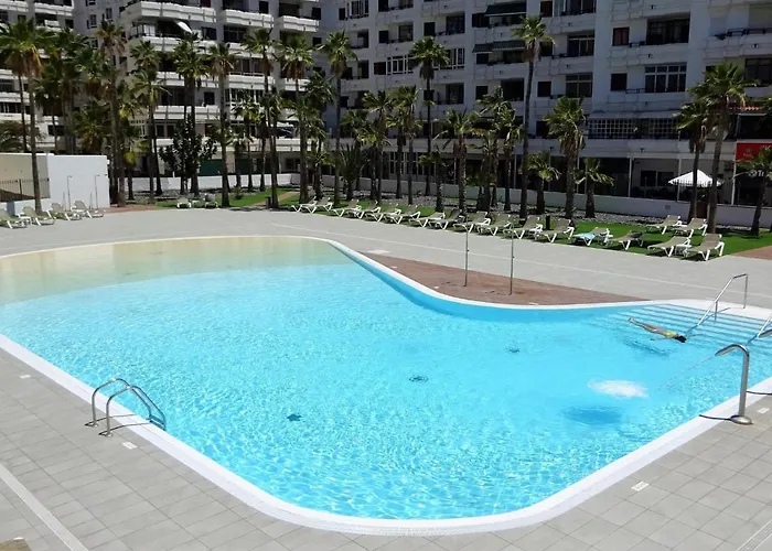 Palms * Πλάγια ντελ Ινγκλές