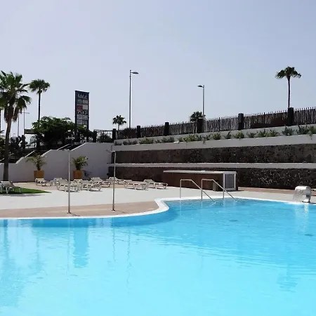 Palms *